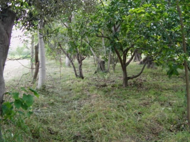 Name:  dosya1 (23) [640x480].jpg
Views: 3742
Size:  66.0 KB