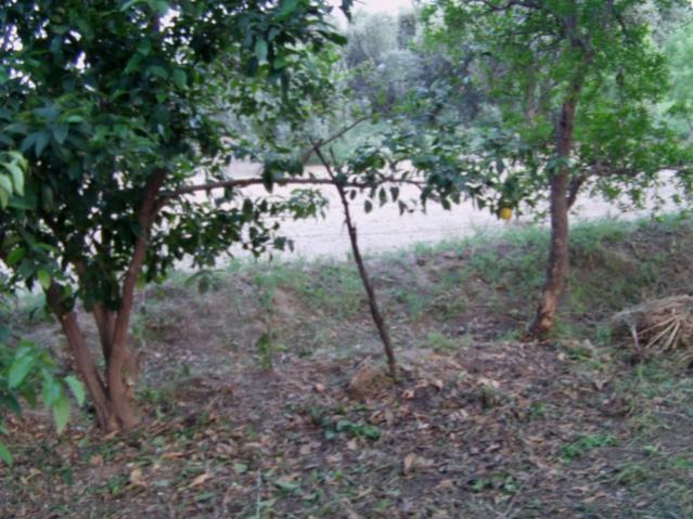 Name:  dosya1 (28) [640x480].jpg
Views: 2871
Size:  62.0 KB
