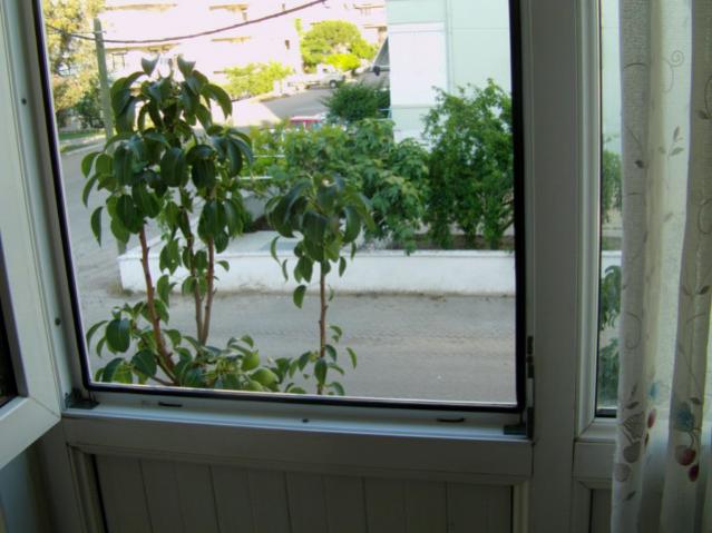 Name:  IMAG0001 [640x480].jpg
Views: 2641
Size:  43.0 KB