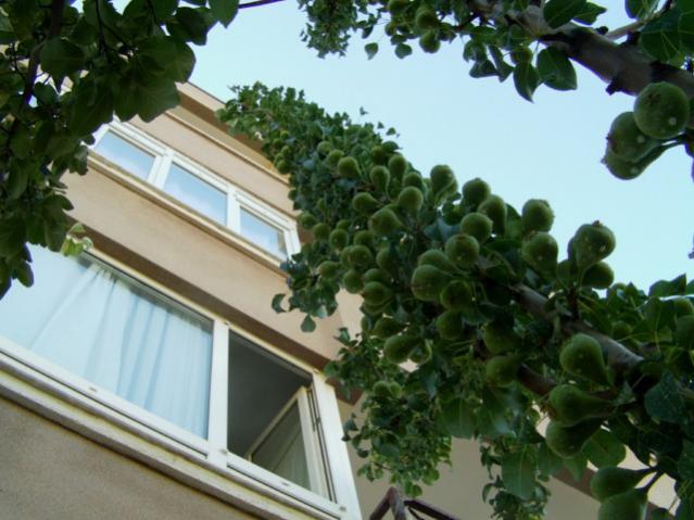 Name:  IMAG0011 [640x480].jpg
Views: 2397
Size:  48.3 KB