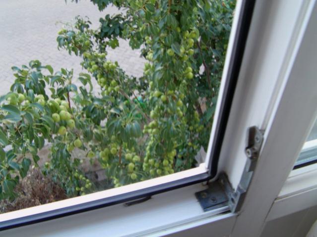 Name:  IMAG0004 [640x480].jpg
Views: 2689
Size:  46.7 KB
