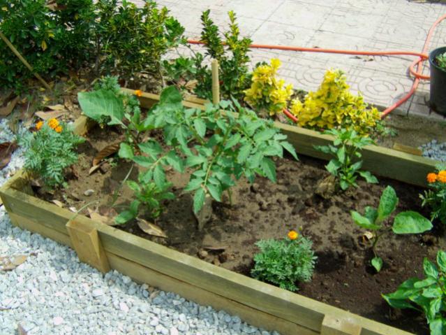 Name:  zeytinlibahçeev (9).jpg
Views: 3046
Size:  68.1 KB