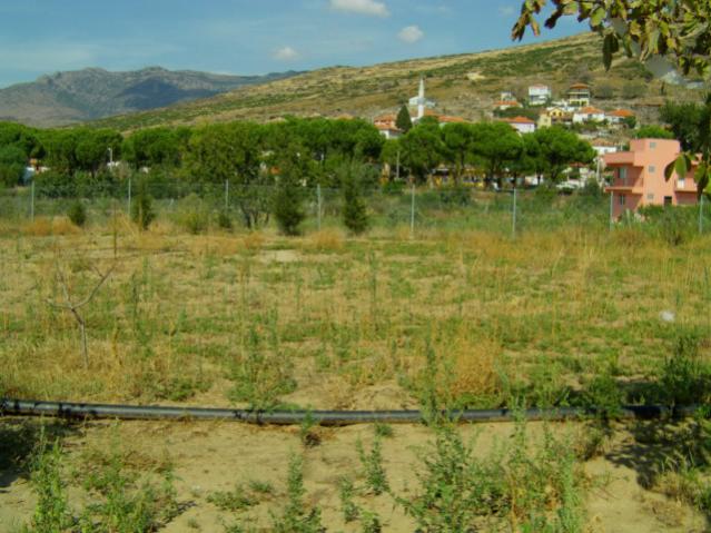 Name:  kumba2 (24) [640x480].jpg
Views: 1944
Size:  56.1 KB
