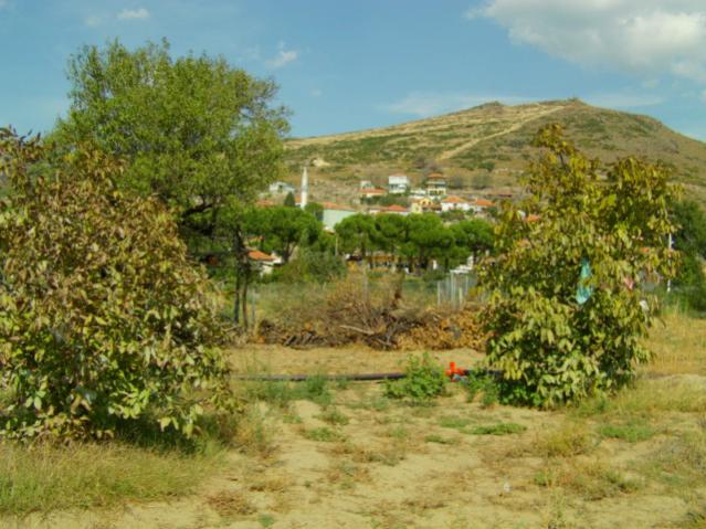 Name:  kumba2 (26) [640x480].jpg
Views: 2241
Size:  58.6 KB