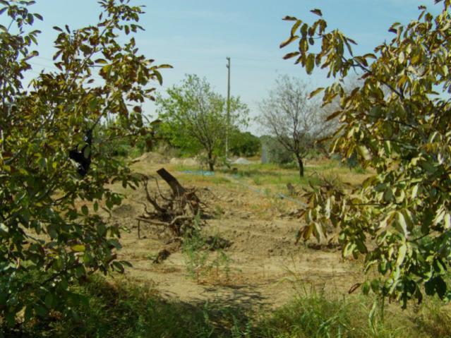 Name:  kumba2 (27) [640x480].jpg
Views: 4744
Size:  69.3 KB