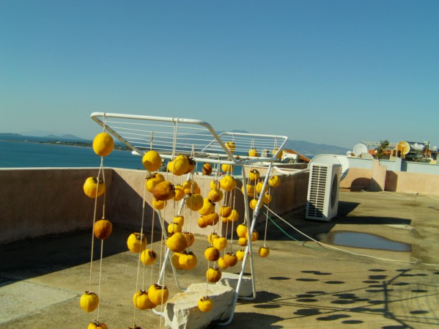 Name:  zet (4) [640x480].JPG
Views: 2727
Size:  66.5 KB