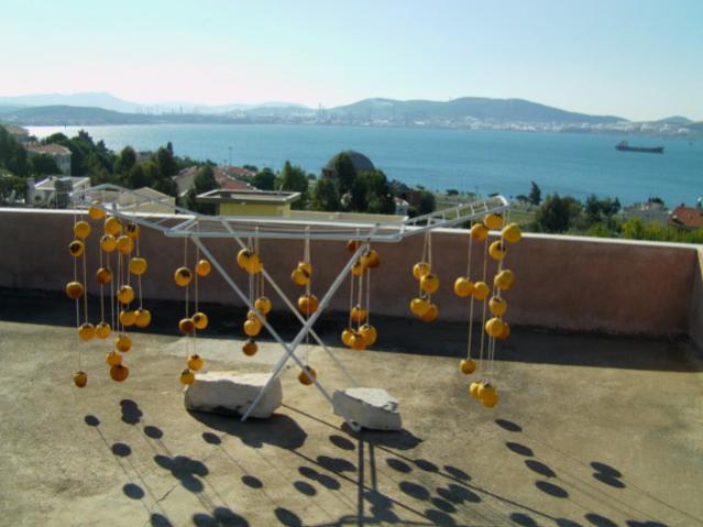 Name:  zet (2) [640x480].jpg
Views: 1976
Size:  39.7 KB