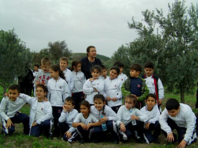 Name:  zeytilibahce ve renciler (4).jpg
Views: 1849
Size:  50.4 KB