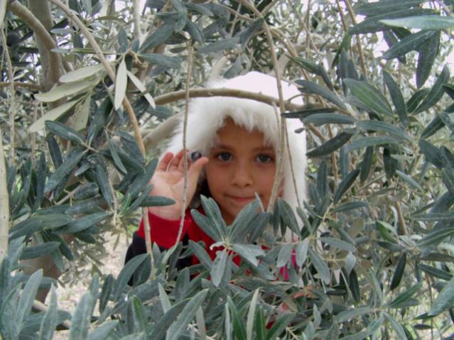 Name:  zeytilibahce ve renciler (21).jpg
Views: 1765
Size:  62.0 KB