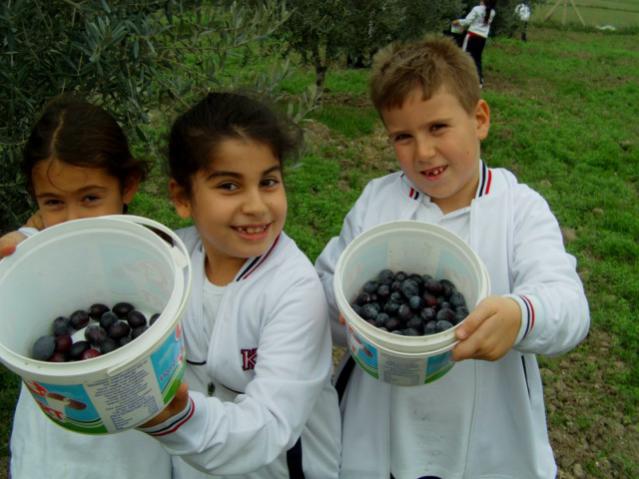 Name:  zeytilibahce ve renciler (25).jpg
Views: 1786
Size:  45.3 KB