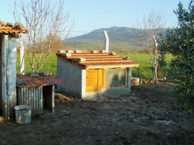 Name:  IMAG0014 [640x480].jpg
Views: 3693
Size:  51.8 KB