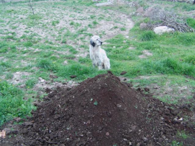 Name:  IMAG0013 [640x480] (2).jpg
Views: 3497
Size:  62.1 KB