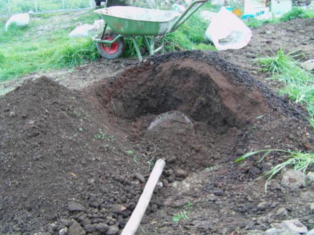 Name:  IMAG0011 [640x480] (2).jpg
Views: 3884
Size:  64.1 KB