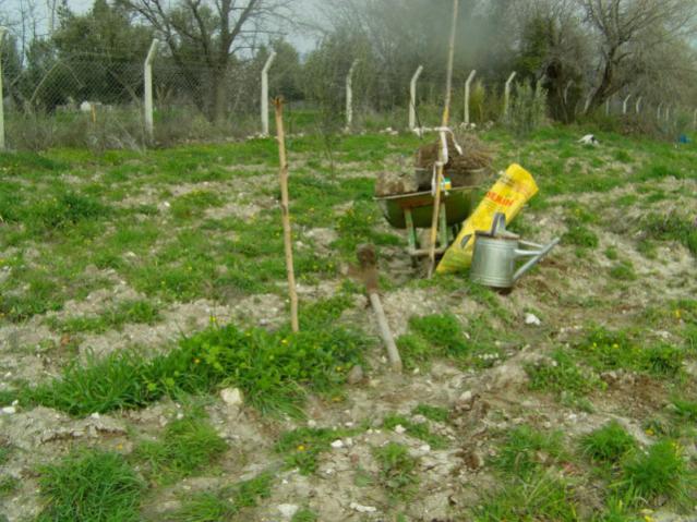 Name:  IMAG0045 [640x480].jpg
Views: 2600
Size:  61.3 KB
