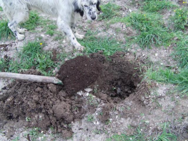 Name:  IMAG0020 [640x480].jpg
Views: 2744
Size:  66.6 KB