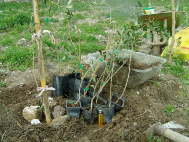 Name:  IMAG0071 [640x480].jpg
Views: 3074
Size:  65.4 KB