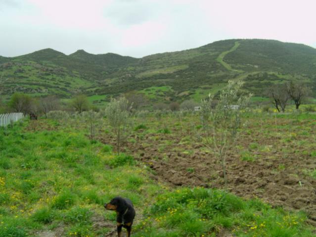 Name:  IMAG0090 [640x480].jpg
Views: 2396
Size:  45.4 KB