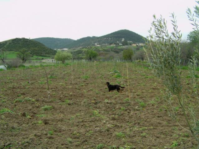 Name:  IMAG0098 [640x480].jpg
Views: 2437
Size:  47.3 KB