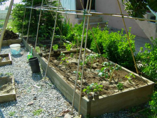 Name:  IMAG0080 [640x480].jpg
Views: 1018
Size:  68.3 KB