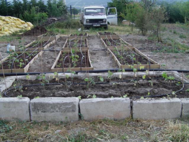 Name:  IMAG0010 [640x480] (3).jpg
Views: 1655
Size:  60.3 KB