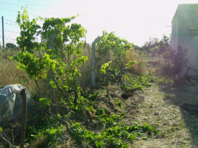 Name:  kumba5 (56) [640x480].jpg
Views: 1892
Size:  55.5 KB