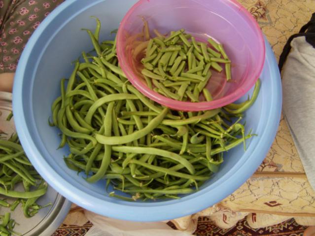 Name:  kumlu ba (22).jpg
Views: 3589
Size:  48.9 KB