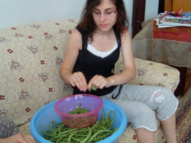 Name:  kumlu ba (25).jpg
Views: 3633
Size:  43.1 KB