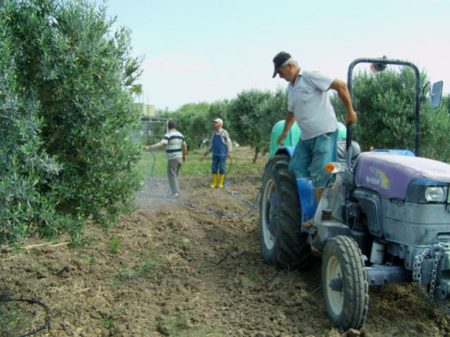 Name:  mdrn bahesi ve kaolin (36) - Kopya.jpg
Views: 2052
Size:  55.8 KB