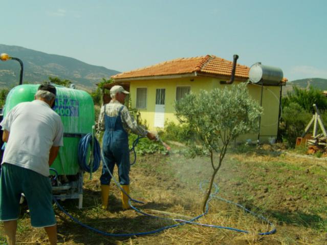 Name:  kaolin ve keyf (2).jpg
Views: 2265
Size:  46.0 KB