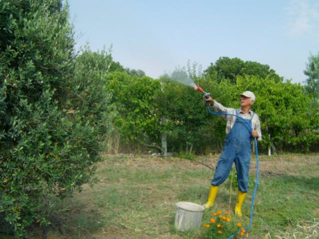 Name:  kaolin ve keyf (5).jpg
Views: 2388
Size:  53.3 KB