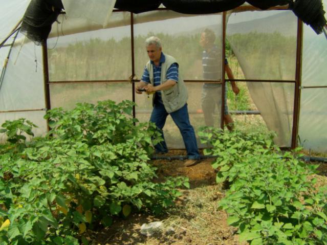 Name:  ubyi ziyaretleri (40).jpg
Views: 2164
Size:  57.2 KB