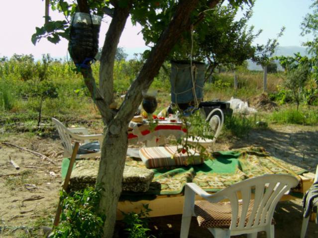 Name:  IMAG0071 [640x480].jpg
Views: 1928
Size:  63.1 KB