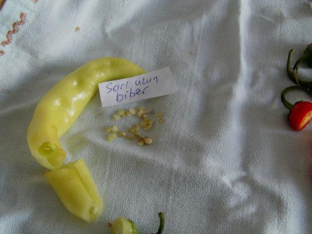 Name:  IMAG0038 [640x480].jpg
Views: 2227
Size:  36.6 KB