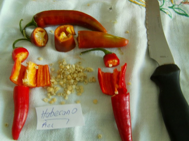 Name:  IMAG0035 [640x480].JPG
Views: 2076
Size:  66.9 KB