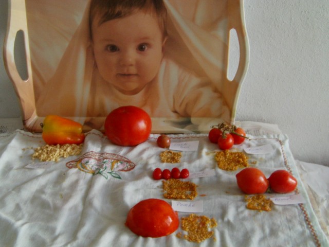 Name:  IMAG0031 [640x480].JPG
Views: 2339
Size:  61.8 KB