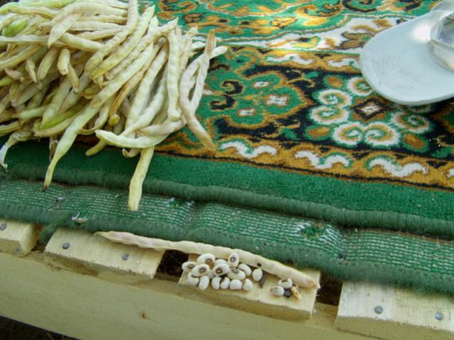Name:  IMAG0067 [640x480].jpg
Views: 2120
Size:  56.5 KB
