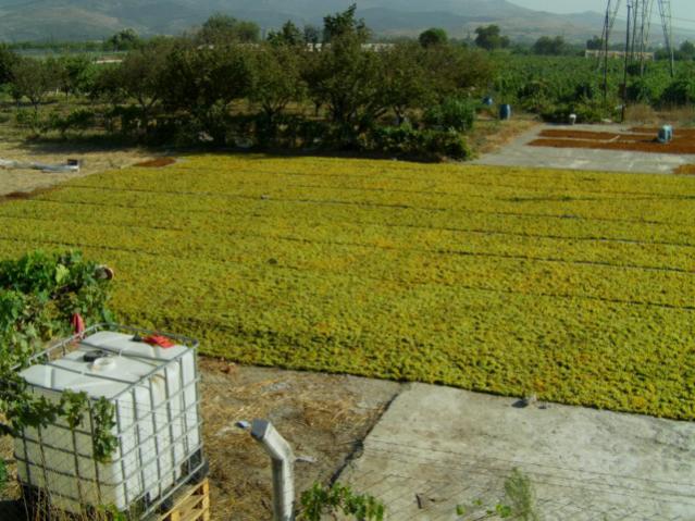 Name:  IMAG0071 [640x480] (2).jpg
Views: 1498
Size:  59.9 KB