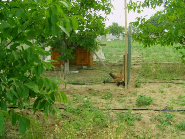 Name:  kumba5 [640x480].jpg
Views: 1438
Size:  61.3 KB