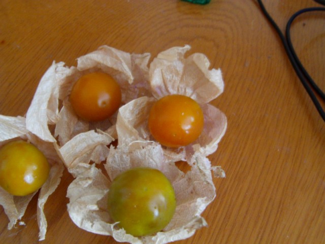 Name:  IMAG0002 [640x480] (2).JPG
Views: 777
Size:  63.3 KB