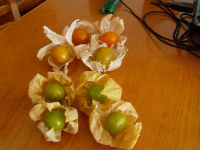Name:  IMAG0003 [640x480] (2).JPG
Views: 792
Size:  64.2 KB