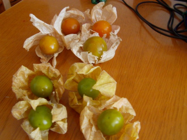 Name:  IMAG0004 [640x480] (2).JPG
Views: 777
Size:  66.1 KB