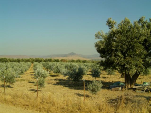 Name:  gmekaolin.jpg
Views: 1682
Size:  41.7 KB