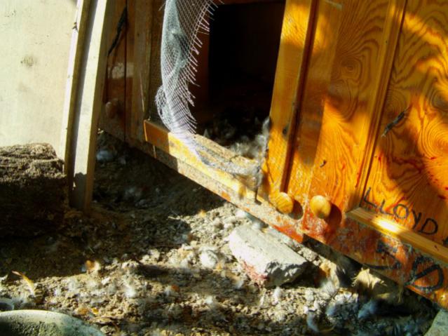 Name:  IMAG0002 [640x480] (2).jpg
Views: 1001
Size:  55.4 KB
