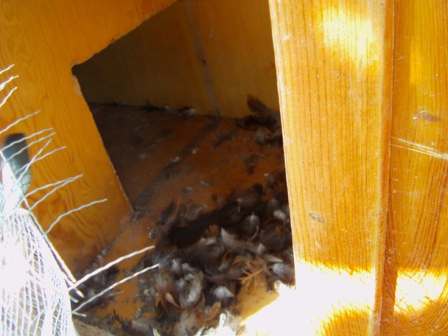 Name:  IMAG0010 [640x480].JPG
Views: 1007
Size:  68.2 KB