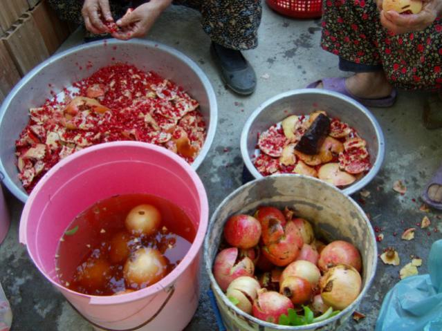 Name:  nar ekisi (2).jpg
Views: 3029
Size:  56.8 KB