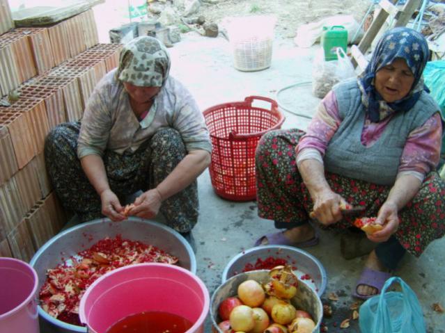 Name:  nar ekisi (7).jpg
Views: 1420
Size:  56.3 KB