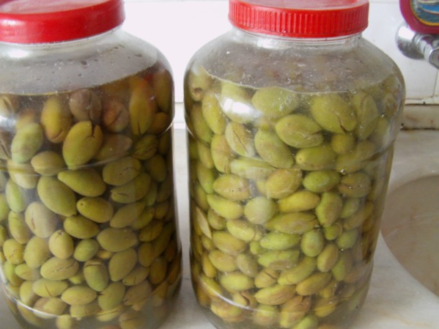 Name:  IMAG0001 [640x480].JPG
Views: 1544
Size:  64.3 KB
