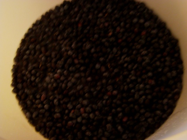Name:  salamura (5).JPG
Views: 1586
Size:  47.8 KB