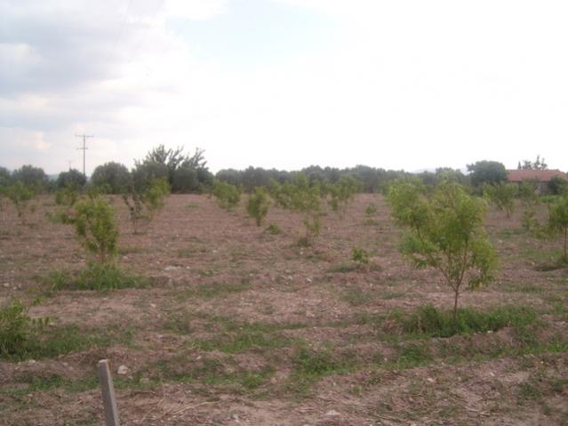 Name:  4.jpg
Views: 5981
Size:  36.0 KB