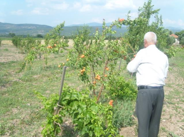 Name:  5.jpg
Views: 7866
Size:  58.9 KB